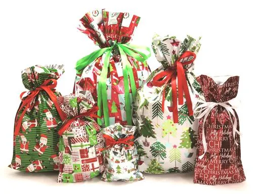 Wrap in a Hurry Pull-String Gift Bag Set - 6 Pack