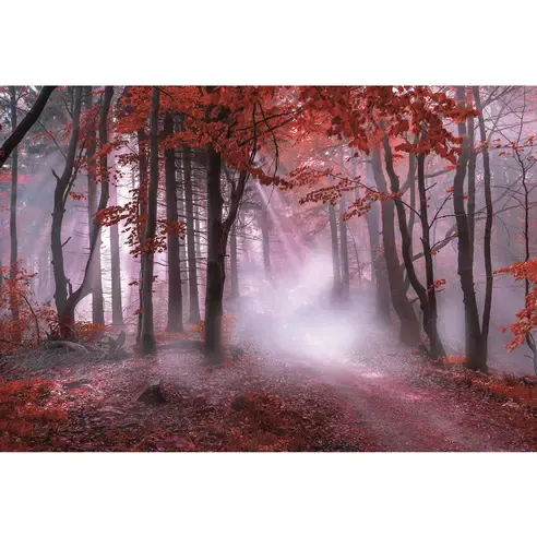 Keilrahmenbild ROTER WALD - 118x78 cm