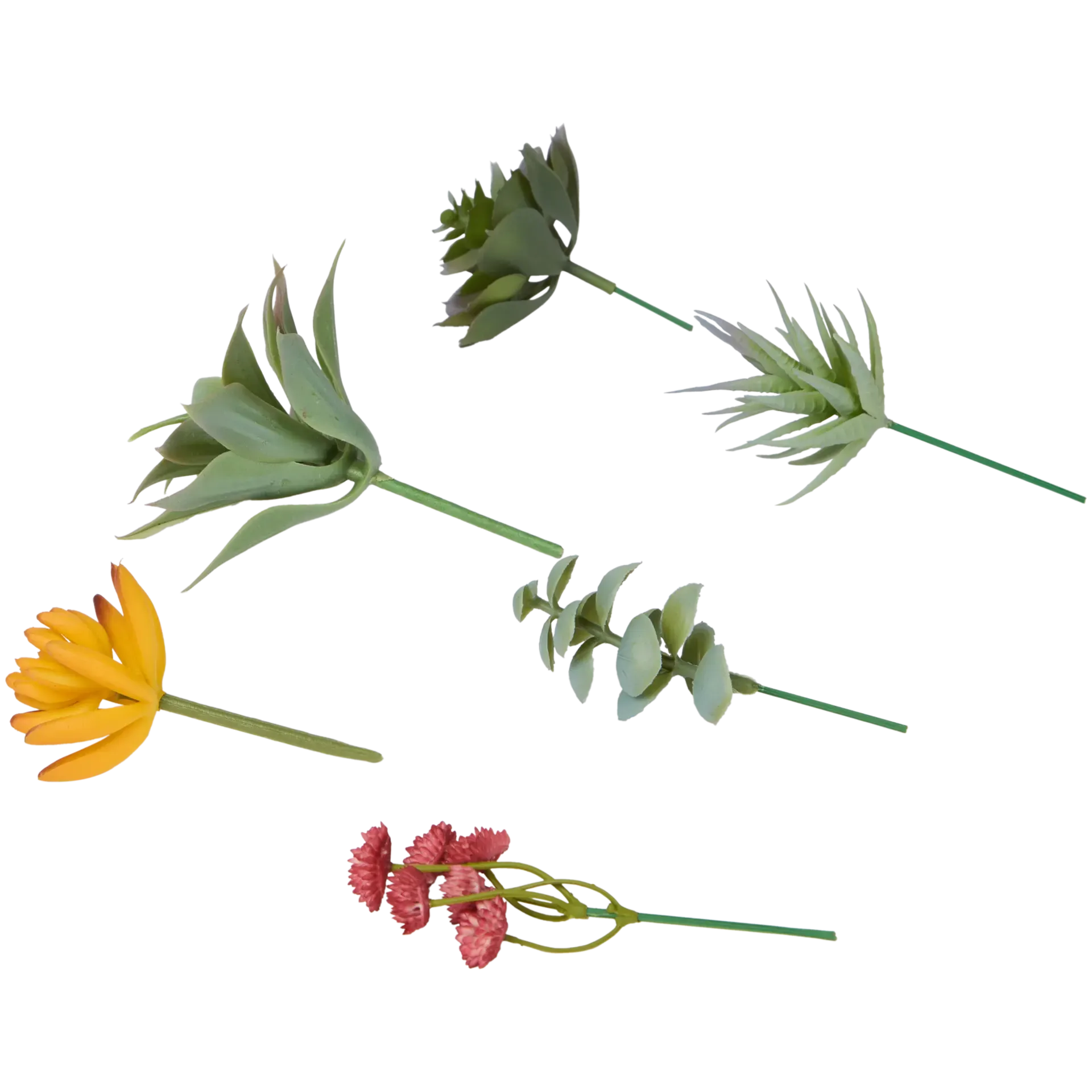 6 pezzi | Diverse varianti