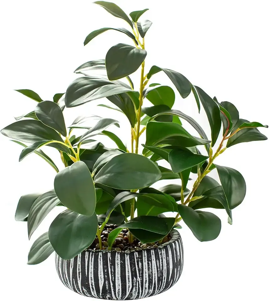 AlphaAcc Fake Plants Potted Artificial Succulents Home Office Decor | Artificial plants with rustic black clay planter ideal bathroom kitchen office farmhouse desk living room indoor decor