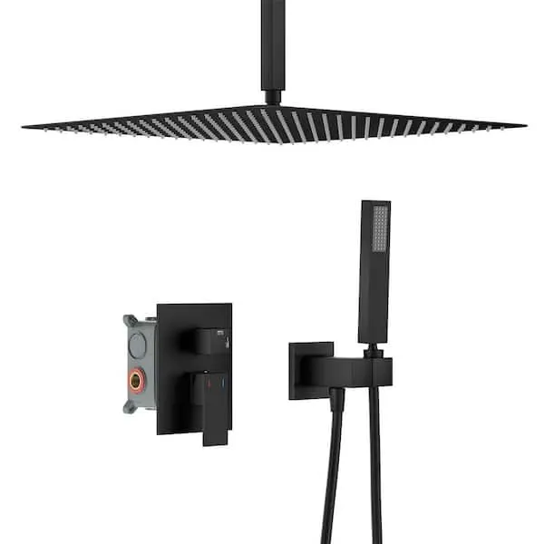 GIVING TREE 2-Spray Patterns with 2.5 GPM 16 in. Rainfall Shower Head Solid Brass Ceiling Mount Dual Shower Heads in Matte Black