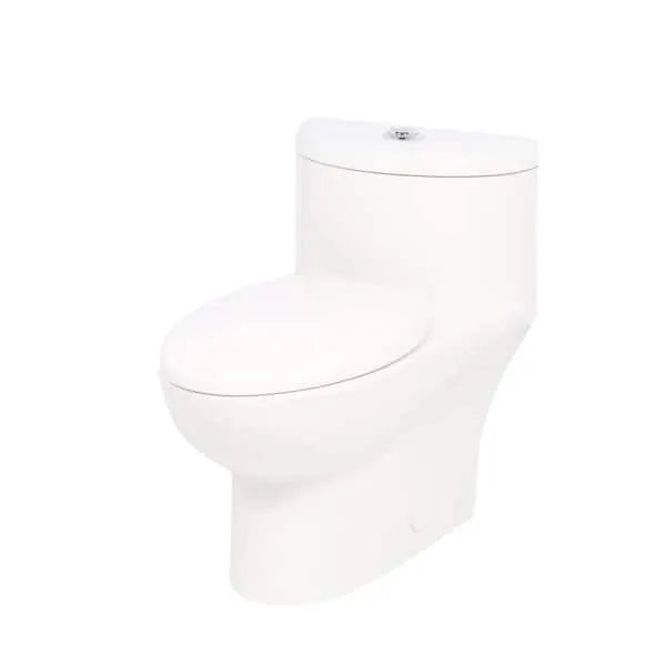 American Standard Tofino Complete 1-​Piece 1.​1 GPF Dual Flush Elongated Toilet in White with Slow Close Seat