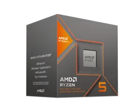 AMD Ryzen 5 8600G