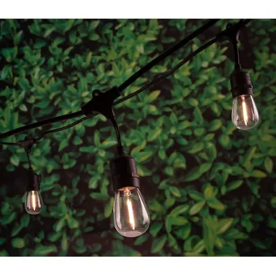 48-ft Plug in Black Indoor String Light with 24 LED Edison Bulbs