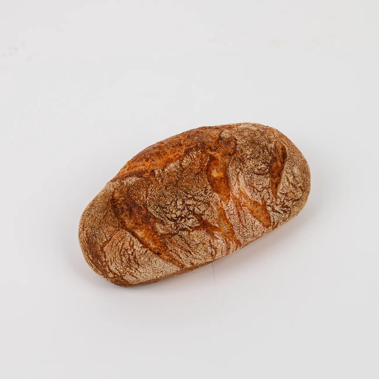 daily bread ciabatta roll