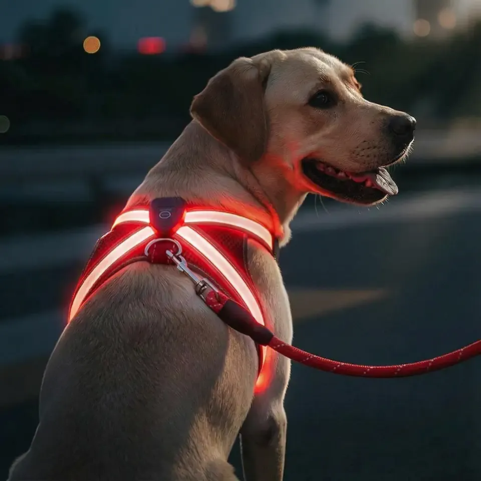 Multicolor LED Illuminated, Reflective Dog Harness, Light Up Safety Vest for Pet Dog (Adjustable, Lightweight, Rainproof, USB Rechargeable) (Large)
