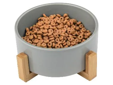Cuenco para perros