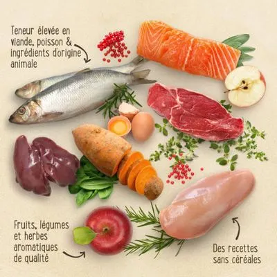 Lot mixte Purizon - sans céréales 2 x 400 g