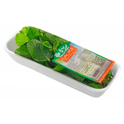 hortelã gauer temperos 18g