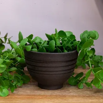 Boston Living Eco Linear Footed Planter Pot Black 9cm