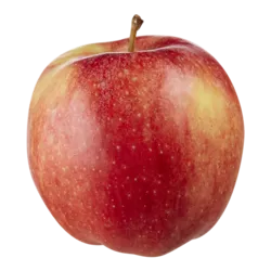 Orchard Run Gala Apples
