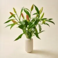 Luxury Lillies (1 Piece) Open Product Description