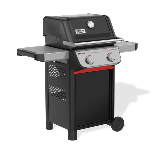 Barbecue a gas WEBER Spirit E-210 LP IT 2 bruciatori