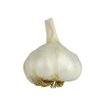 Fresh Garlic, Each