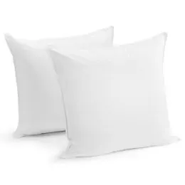 Set of 2 Ovela Microfibre European Pillows