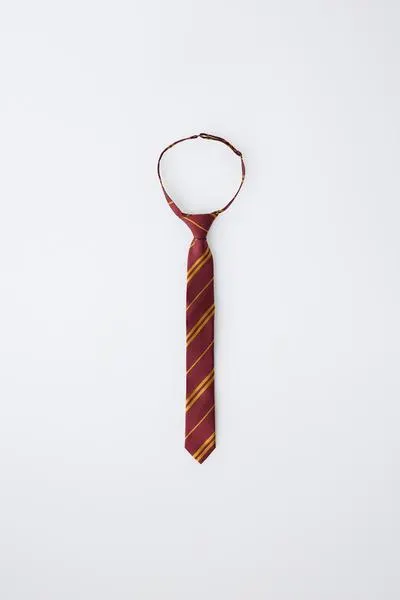 HARRY POTTER ™ FANCY DRESS TIE