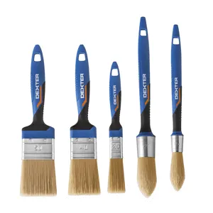 Set di pennelli 5 pz 20/40/50 e tondi 15/25 DEXTER