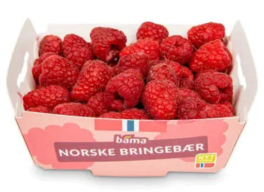 Norske Bringebær
