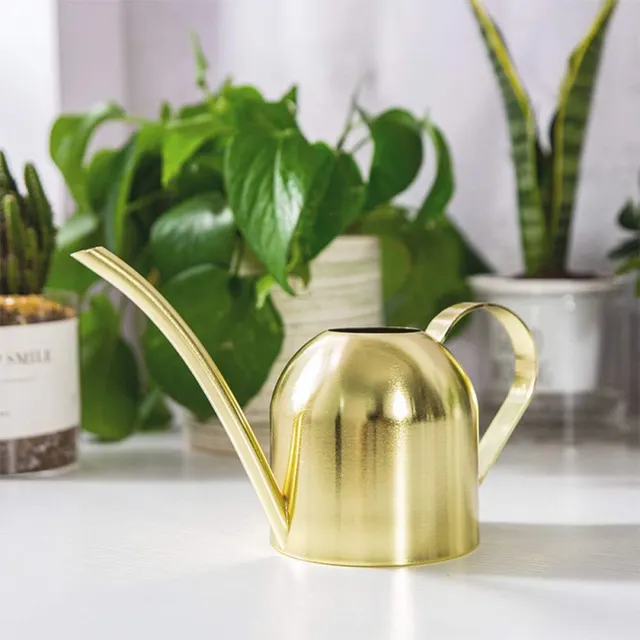 Innaffiatoio in acciaio inossidabile, piccolo annaffiatoio a becco lungo per casa, interni, esterni, giardino, piante succulente, 500 ml (dorato)