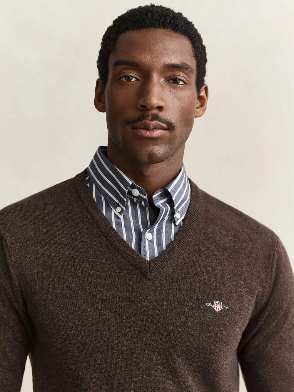 Superfine Lambswool V-Neck