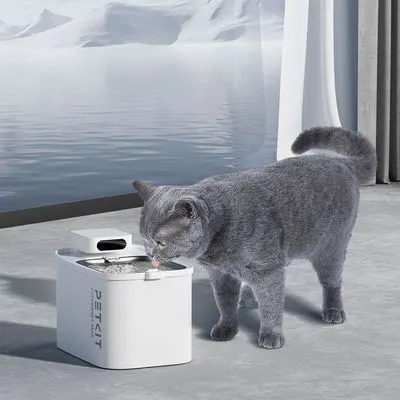 Petkit fontaine à eau Eversweet Max