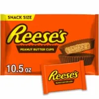 REESE'S Milk Chocolate Snack Size Peanut Butter Cups Candy Bag
