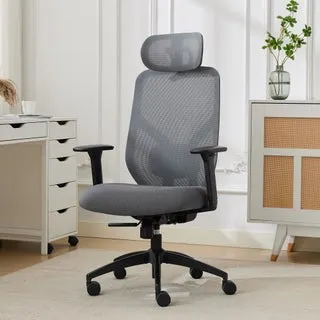TrueWellness Zentro Ergo Mesh Chair