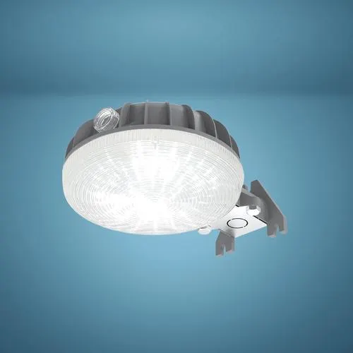 Patriot Lighting® Gray LED Dusk-to-Dawn Outdoor Security Area Light