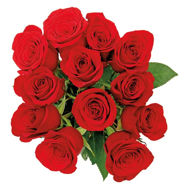 12 Roses Bouquet