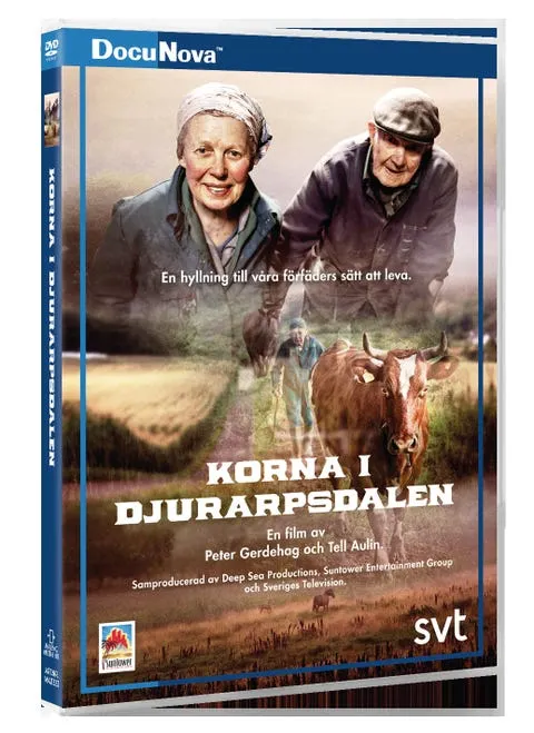 Korna I Djurarpsdalen