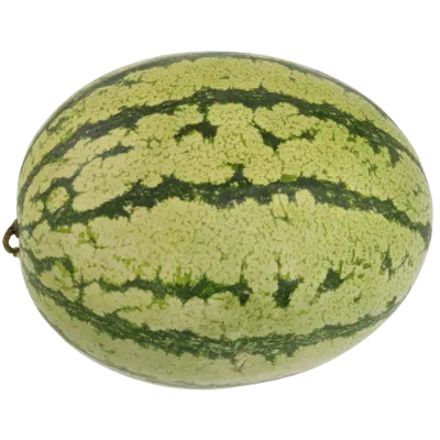 Red Watermelon