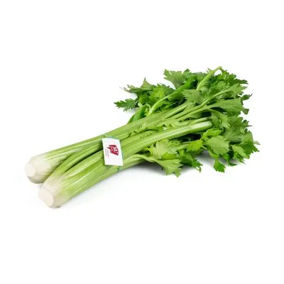 Ja! Natürlich Stangensellerie
