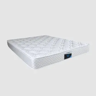 Dunlop Living Condo Rolled Mattress Firm
