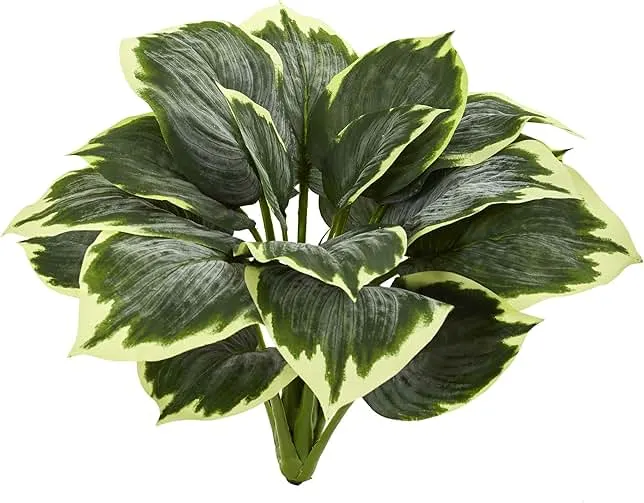 Nearly Natural 23 in Variegated Hosta Artificial Plant (Set of 6) | Lifelike Multi-Tonal Foliage, Maintenance-Free, Enhances Study Rooms or Re…