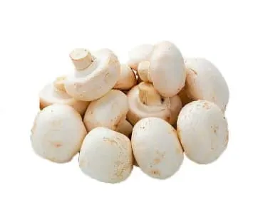 Champignon