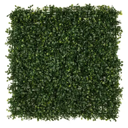 Wandbegrünung - grün - Buchsbaum - 50x50 cm