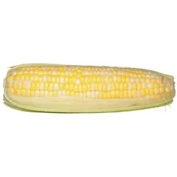 Bi-Colour Corn, Corn on the Cob