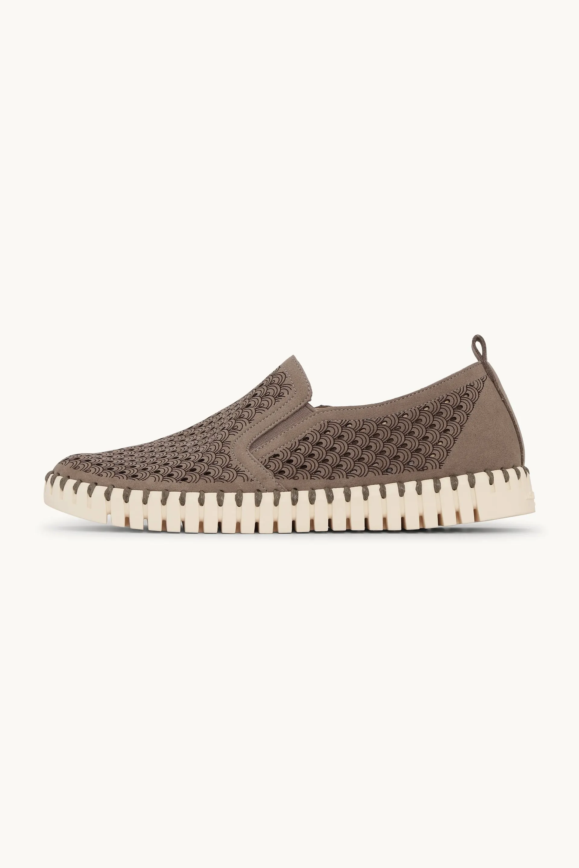 Tulip Flats