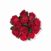 Sunshine Bouquet Bloom Haus Dozen Rose Red