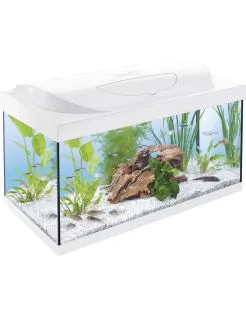 Tetra Starter Line 54 l - Aquarium - Wit 61x32x36 cm