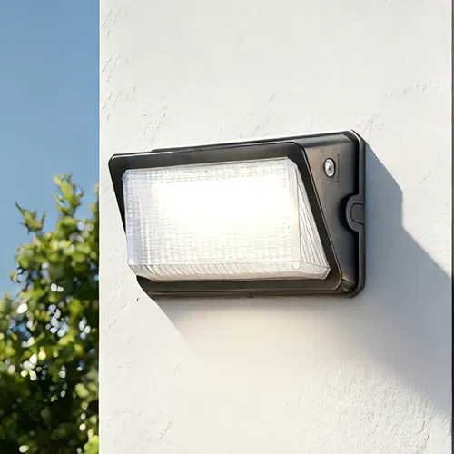 Patriot Lighting® Bronze LED Dusk to Dawn Outdoor Security Wall Pack