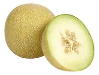 BONI melon galia