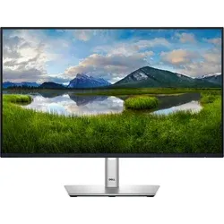 DELL Professional P2425HE (210-BMJB)