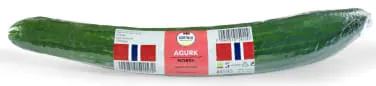 Norsk agurk
