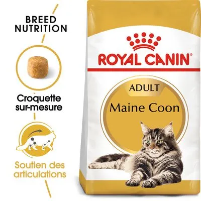 Royal Canin Maine Coon Adult pour chat