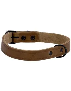 Adori Halsband Vetleder Met Print Olijfgroen - Halsband