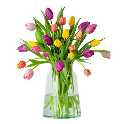 Boeket Tulpen
