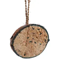 Halve kokosnoot gevuld