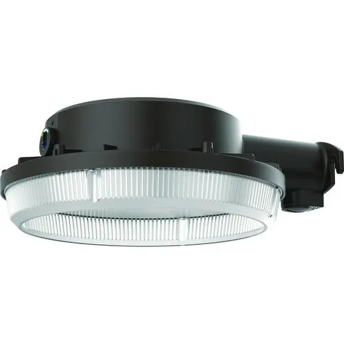 Lithonia Lighting® Dark Bronze LED Dusk-to-Dawn Outdoor Security Area Light
