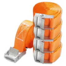 Spanngurte mit Schnellverschluss 4er-Set
